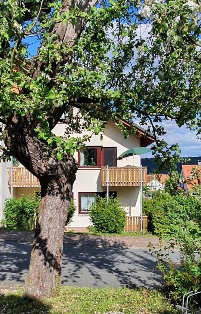 Kleinod Am Kurpark Apartman Bad Zwesten Kültér fotó