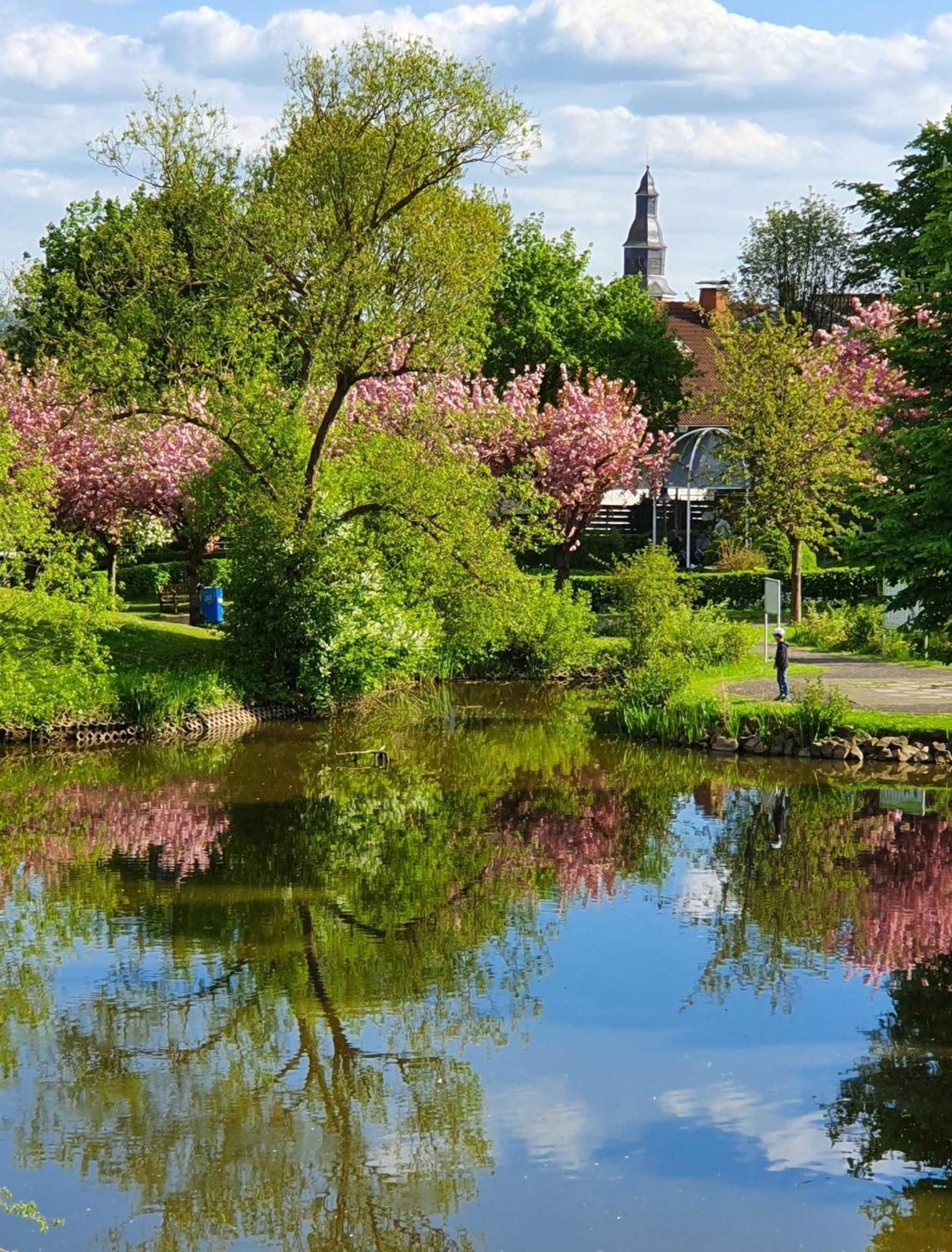 Kleinod Am Kurpark Apartman Bad Zwesten Kültér fotó